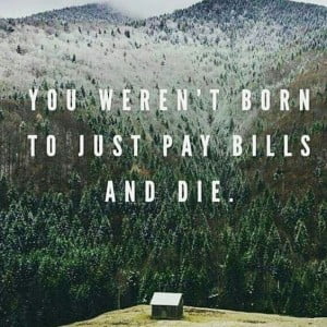 pay bills and die