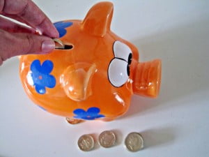 savings, economisire