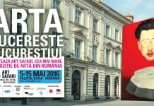 10 lucrări interesante de la Art Safari 2016