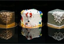 Ce am mâncat la expoziția de artă comestibilă din cadrul Romanian Design Week