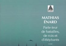 Parle-leur de batailles, de rois et d’elephants – Michelangelo in Constantinopol