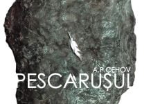 Pescarusul – In viziunea lui Andrei Serban, la unteatru