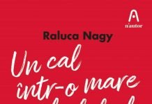 Un cal intr-o mare de lebede – Japonia, o tara naucitoare