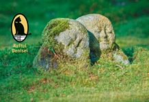 Gradina de piatra – Orientul cameleonic adorat de Kazantzakis