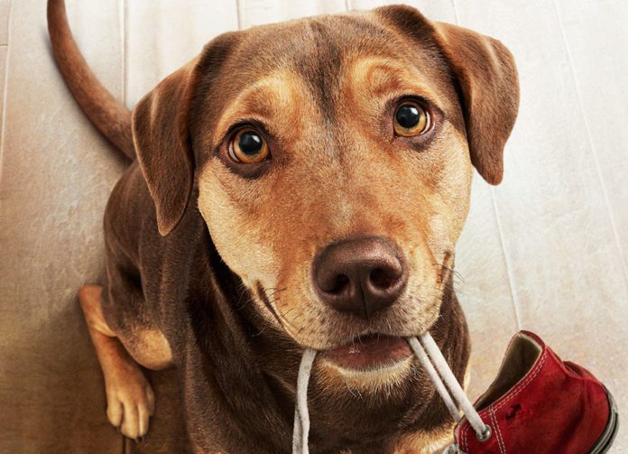 A-Dogs-Way-Home-Poster-696x503