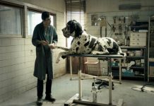 Dogman – Aparitia unui actor pe care vei dori sa il revezi