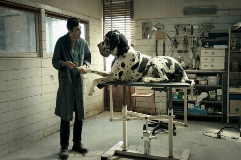 Dogman –  Aparitia unui actor pe care vei dori sa il revezi