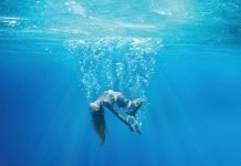 Under the Silver Lake – Un rasfat straniu
