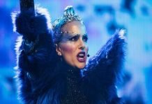 Vox Lux – Stralucire intunecata
