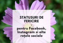statusuri de fericire