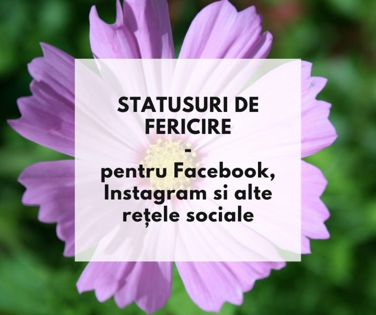 Cele mai frumoase statusuri de fericire pentru Facebook, Instagram si alte rețele sociale