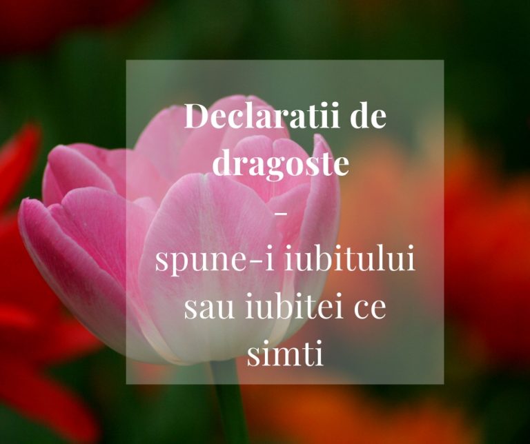 Declaratii de dragoste emotionante – alege cea mai buna declaratie de dragoste pentru iubit sau iubita