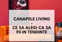 Canapele living – ce sa alegi ca sa fii in tendinte canapele living