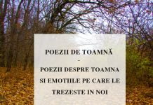 Cele mai frumoase poezii de toamna scrise de poeti romani poezii de toamna
