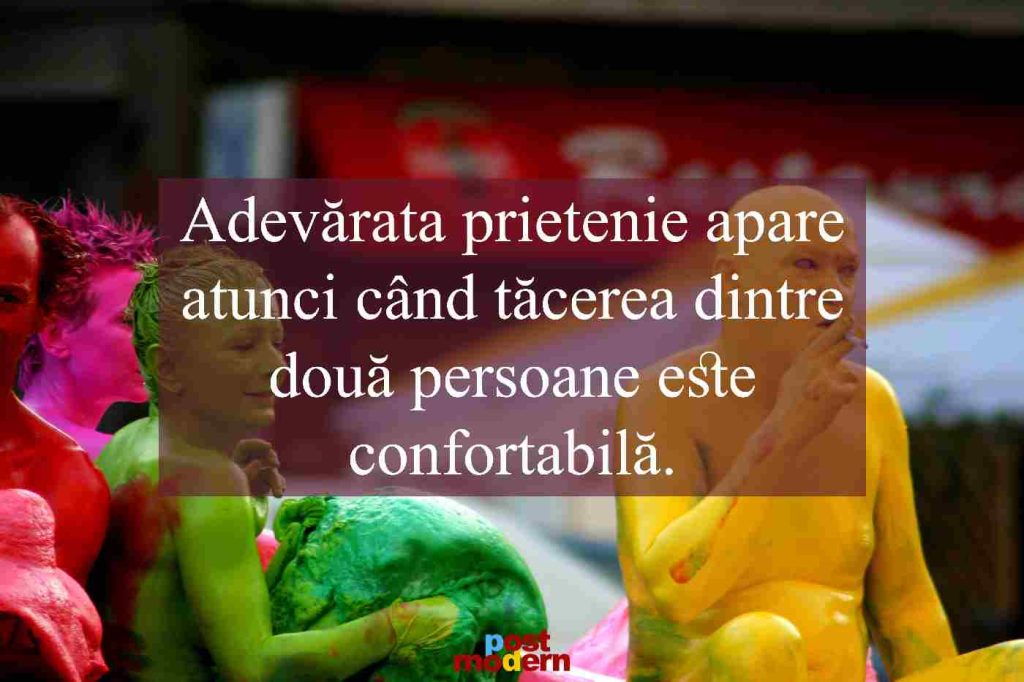 citate despre prietenie 2