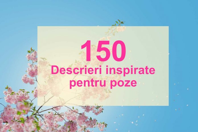 descrieri poze