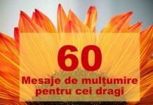 TOP 60 cele mai frumoase și calde mesaje de mulțumire mesaje de mulțumire