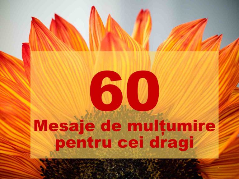TOP 60 cele mai frumoase și calde mesaje de mulțumire