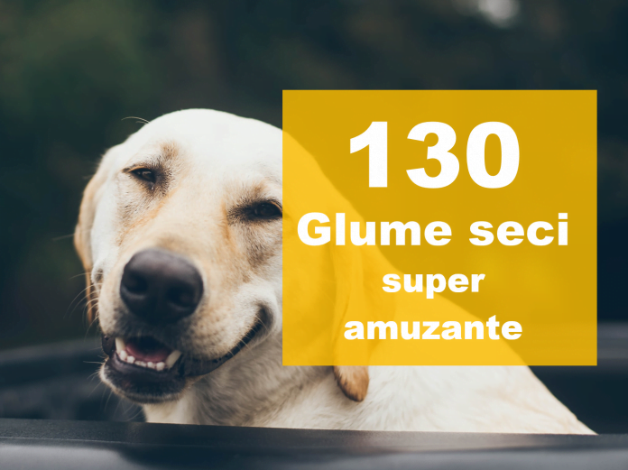 glume seci glume seci