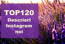 TOP 120 descrieri Instagram noi pentru pozele tale descrieri instagram top noi