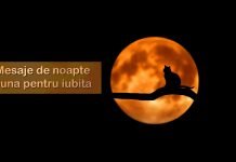 80 cele mai potrivite și frumoase mesaje de noapte buna pentru iubita