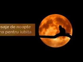 80 cele mai potrivite și frumoase mesaje de noapte buna pentru iubita