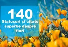 statusuri citate flori