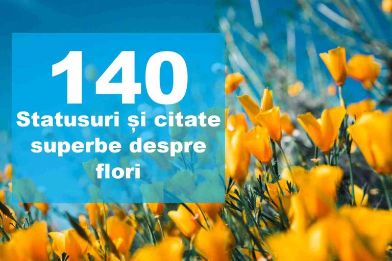 Cele mai frumoase și inspirate 140 statusuri și citate despre flori