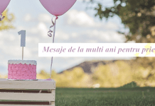 Mesaje de la multi ani pentru prieteni
