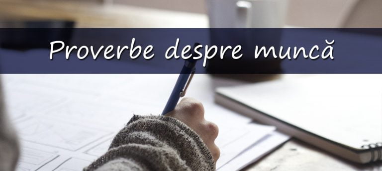 194 Proverbe despre munca care sa te motiveze