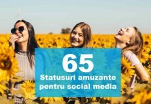 TOP 65 Statusuri amuzante perfecte pentru Instagram sau Facebook top statusuri amuzante