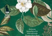 Recenzie – Confesiunea – Secretul, cel mai important personaj