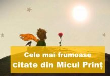 Cele mai frumoase citate din Micul Prinț top citate din micul prinț