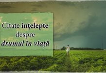 Citate intelepte despre drumul in viata