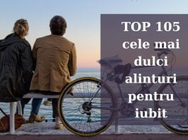TOP 105 cele mai dulci alinturi pentru iubit