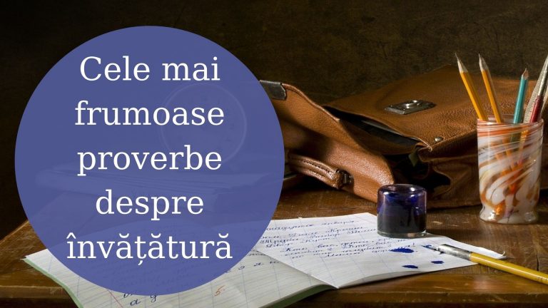 126 Cele mai frumoase proverbe despre învățătură