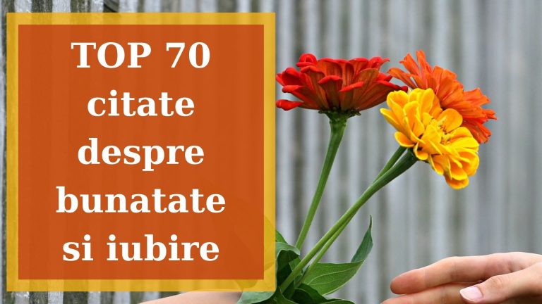 TOP 70 cele mai expresive citate despre bunatate