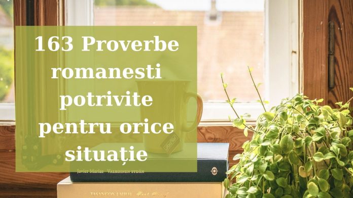Adaugă un subtitlu