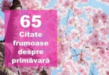 65 Citate despre primavara, frumusețea și emoțiile ei top citate despre primavara