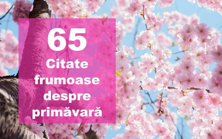65 Citate despre primavara, frumusețea și emoțiile ei