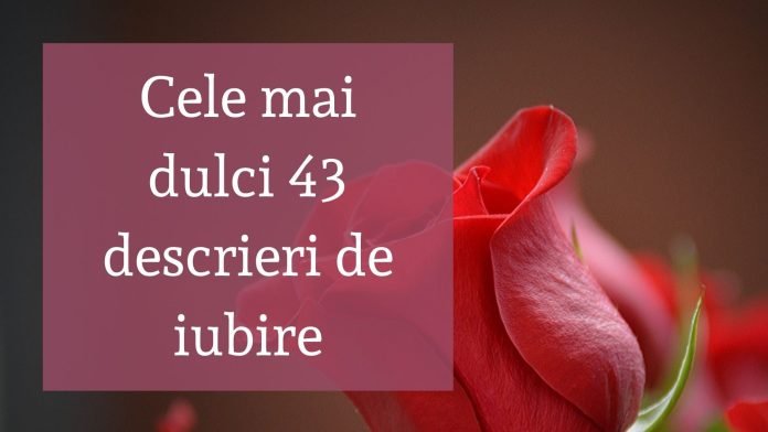 Adaugă un subtitlu (18)