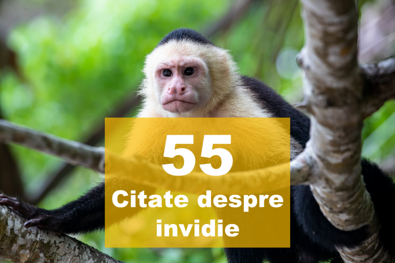 Top 55 citate despre invidie și cum să o evităm