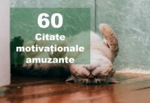 TOP 60 Citate motivationale amuzante și simpatice top citate motivationale amuzante