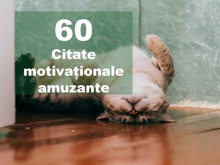 TOP 60 Citate motivationale amuzante și simpatice