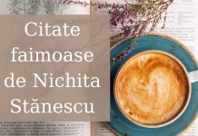 Citate faimoase de Nichita Stanescu