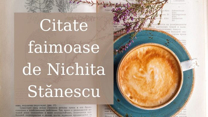 Adaugă un subtitlu (14)
