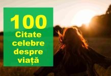 Citate celebre despre viata – TOP 100 citate faimoase despre viață citate celebre despre viata