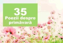 TOP 35 Poezii de primavara – cele mai frumoase poeme poezii de primavara
