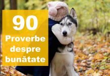 TOP 90 – Proverbe despre bunatate, oameni buni și omenie proverbe despre bunatate