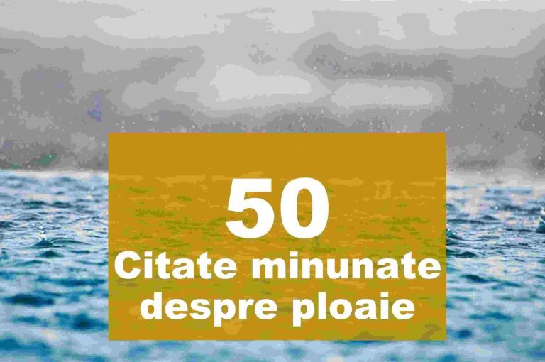 50 Cele mai frumoase citate despre ploaie